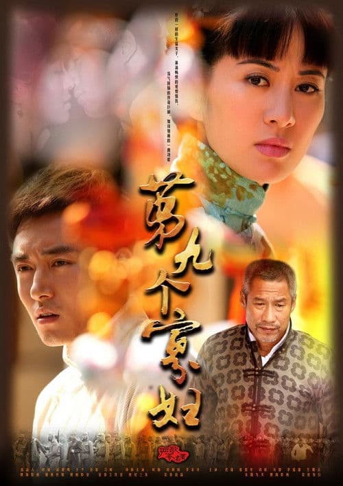 第九个寡妇 afişi