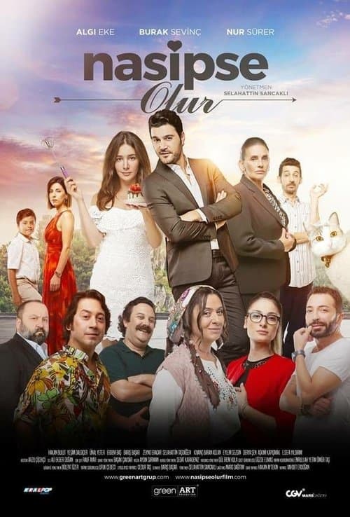 Nasipse Olur afişi
