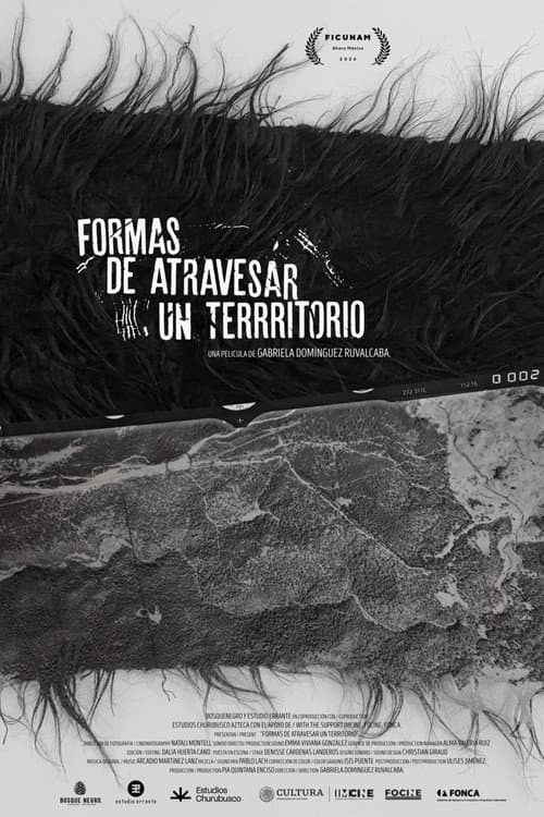 Formas de atravesar un territorio afişi