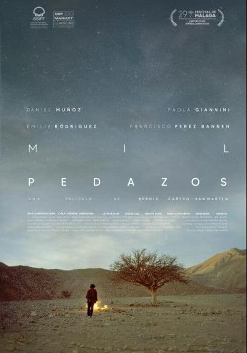 Mil pedazos afişi