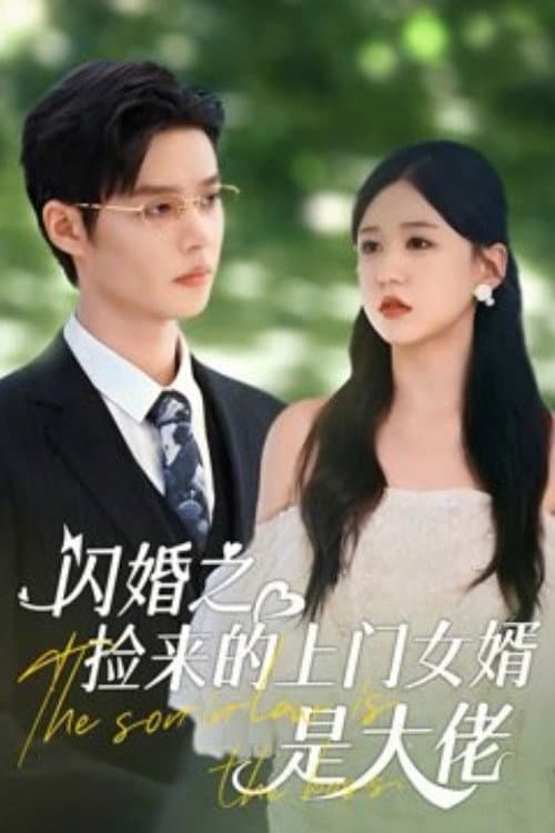 闪婚之捡来的上门女婿是大佬 afişi