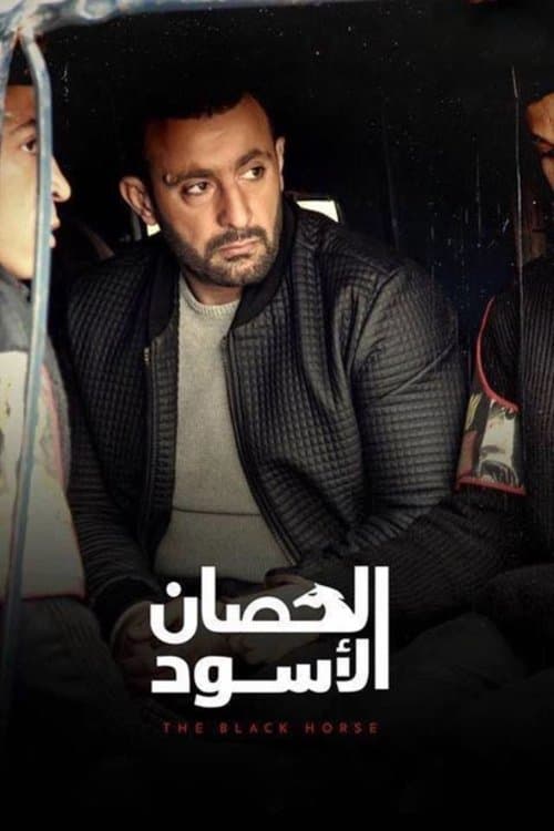 الحصان الأسود afişi