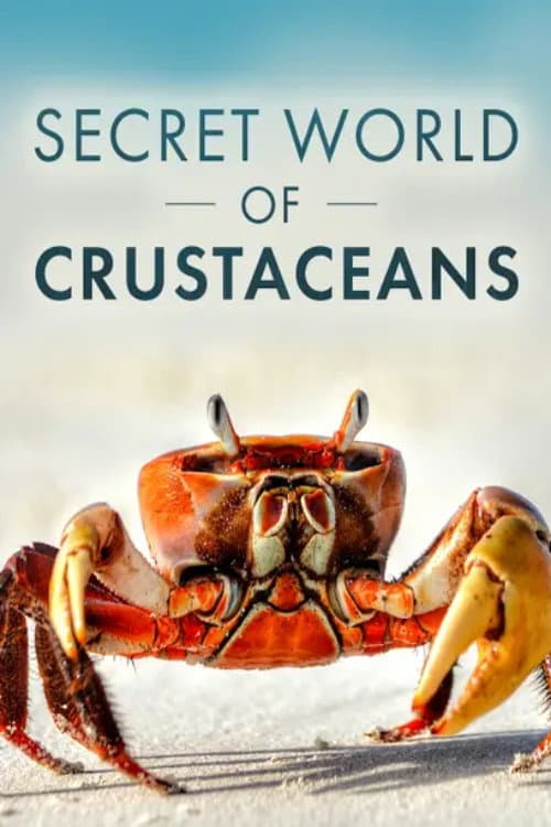 The Secret World of Crustaceans afişi