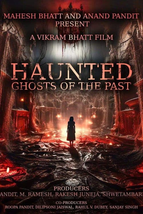 Haunted 3D: Echoes of the Past afişi