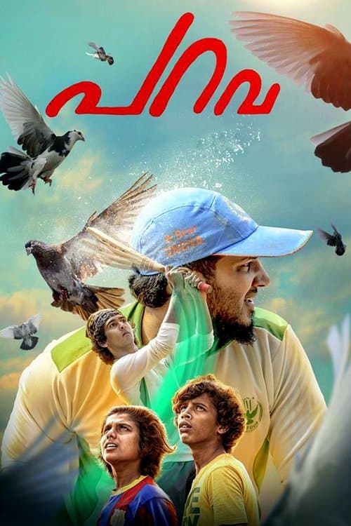 പറവ afişi