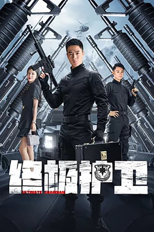 终极护卫 afişi