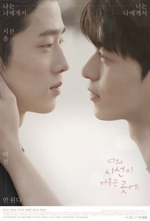 너의 시선이 머무는 곳에 afişi