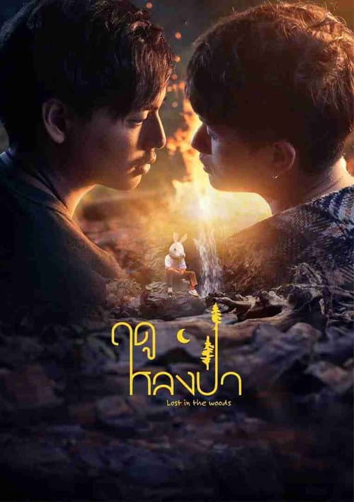 ฤดูหลงป่า afişi