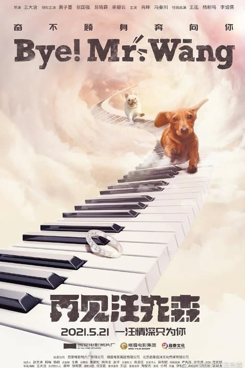 再见汪先森 afişi