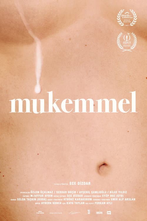 Mükemmel afişi
