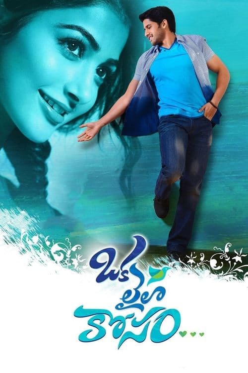 ఒక లైలా కోసం afişi