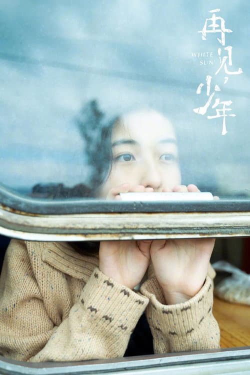 再见，少年 afişi