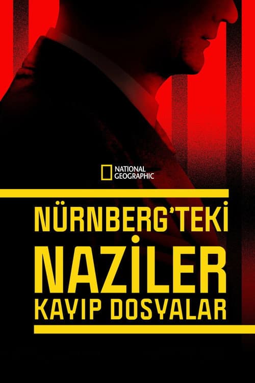 Nürnberg'teki Naziler: Kayıp Dosyalar afişi