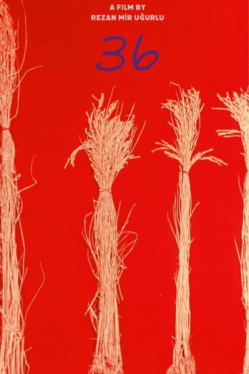 36 afişi