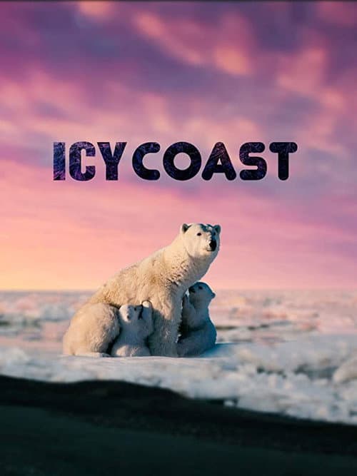 Icy Coasts afişi