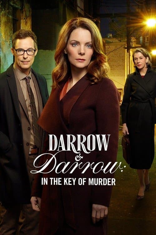 Darrow ve Darrow: Cinayetin Şifresi afişi