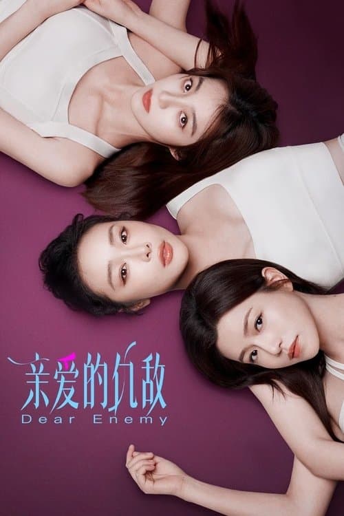 亲爱的仇敌 afişi