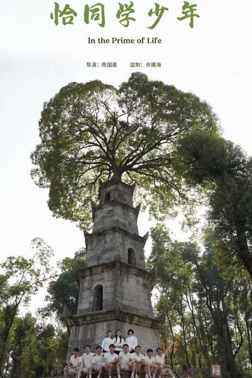 恰同学少年 afişi