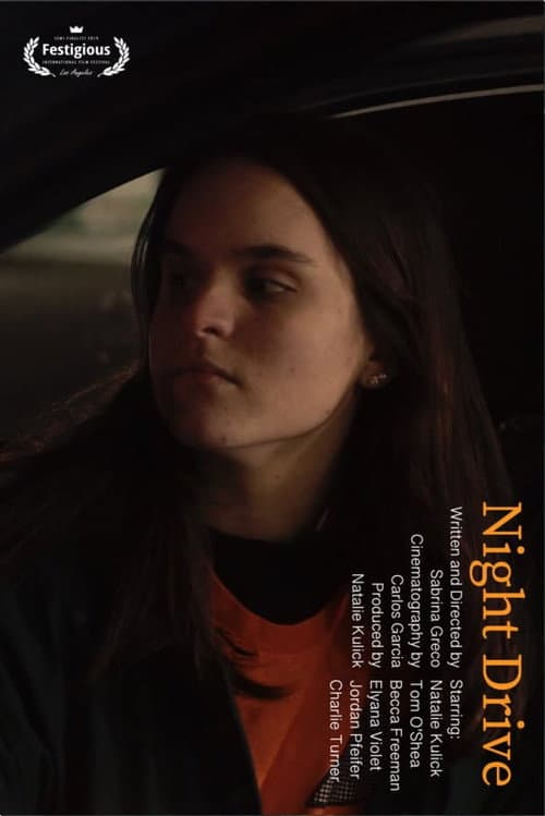 Night Drive afişi