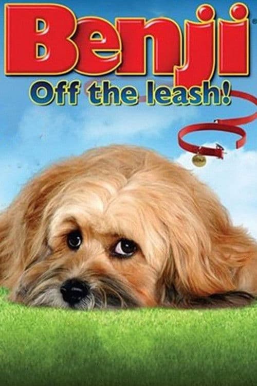Benji: Off the Leash! afişi