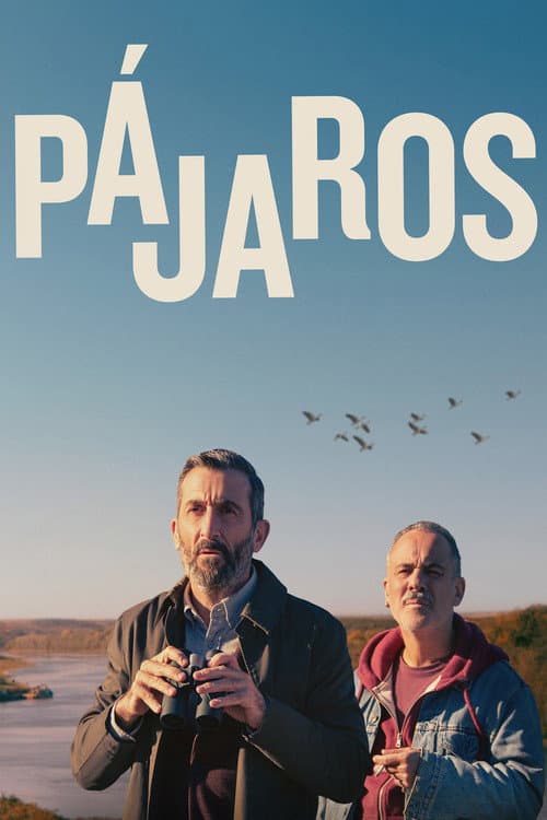 Pájaros afişi