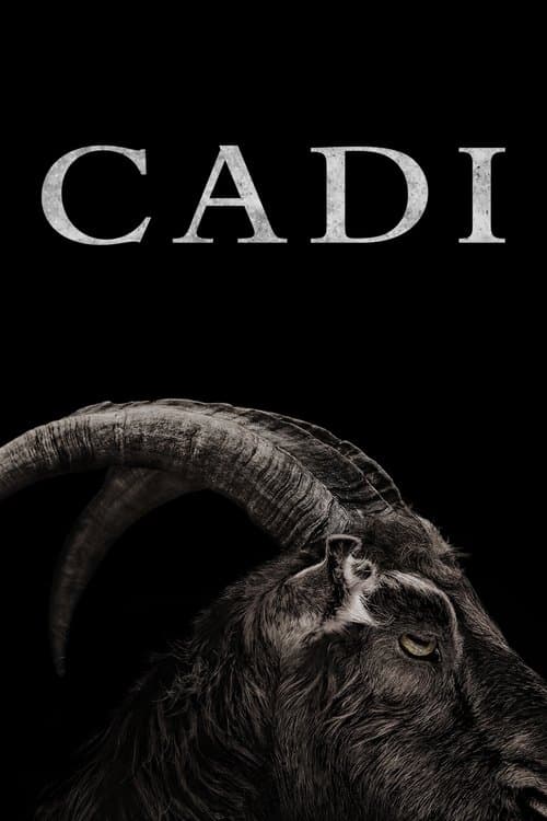 Cadı afişi