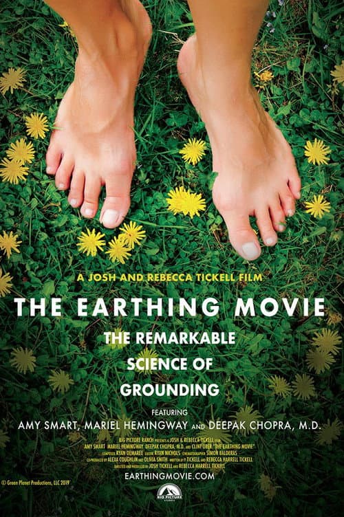 The Earthing Movie afişi