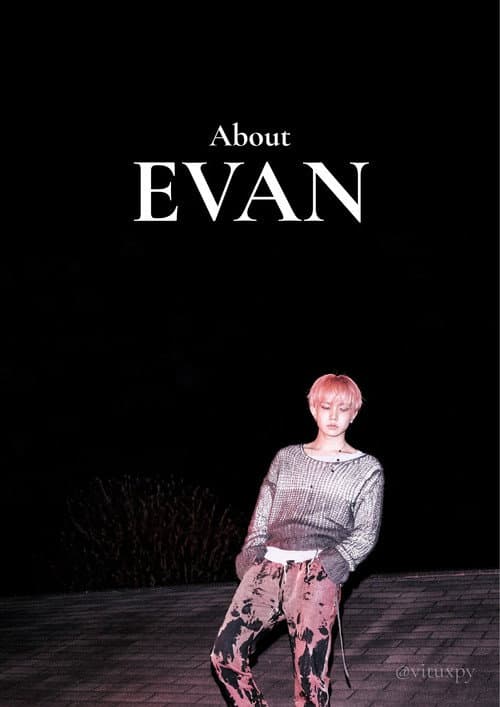 About EVAN afişi