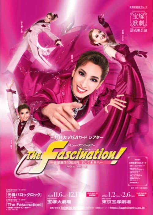 The Fascination afişi