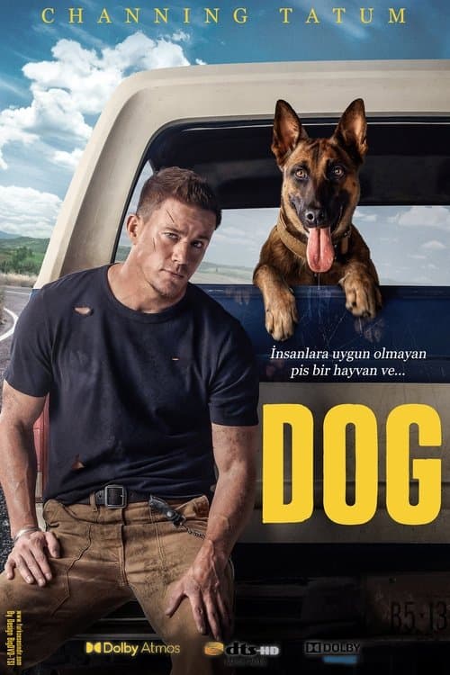Köpek afişi