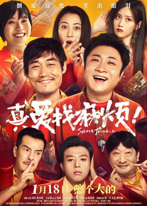 真爱找麻烦！ afişi