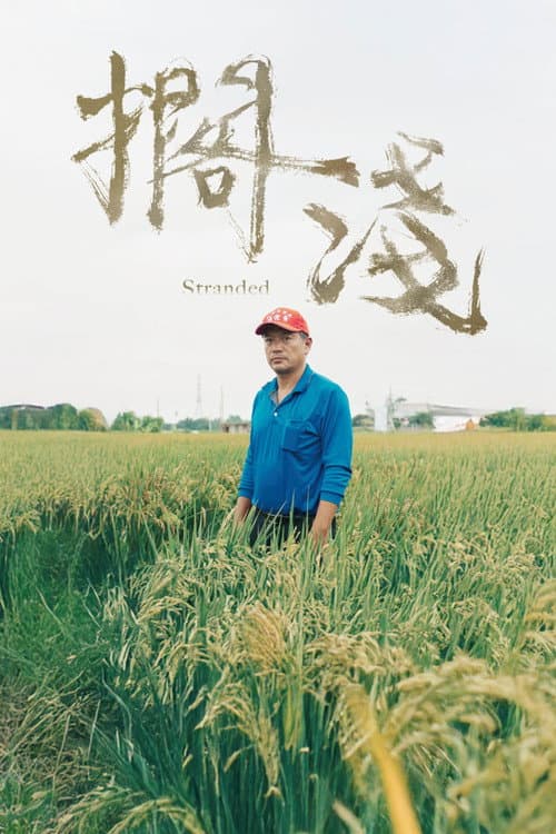 擱淺 afişi