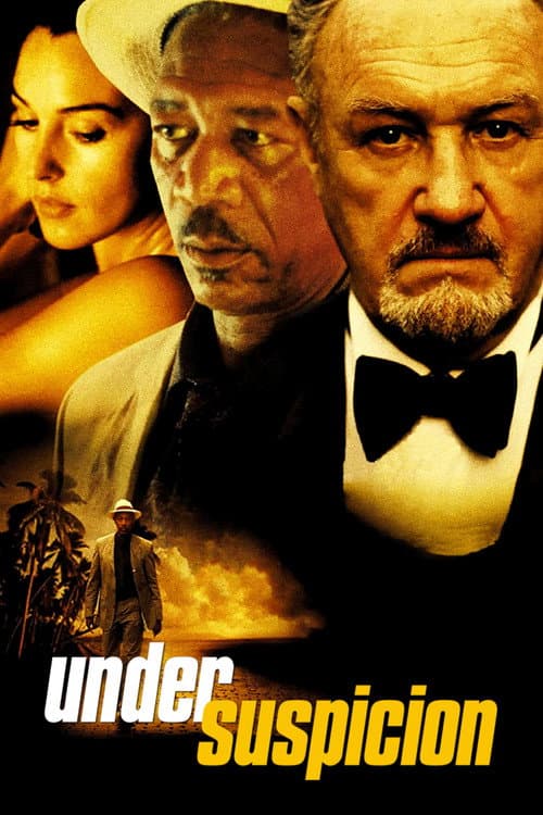 Suçlu Kim? afişi