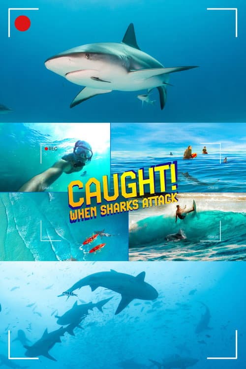 Caught! When Sharks Attack afişi