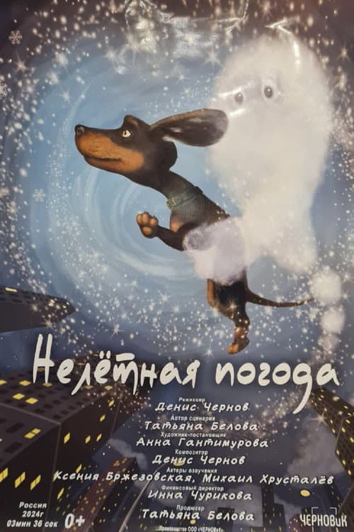 Нелётная погода afişi