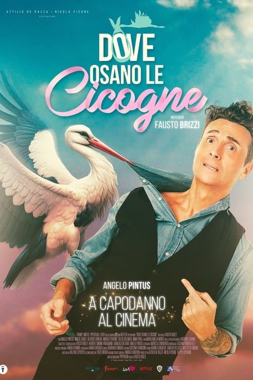 Dove osano le cicogne afişi