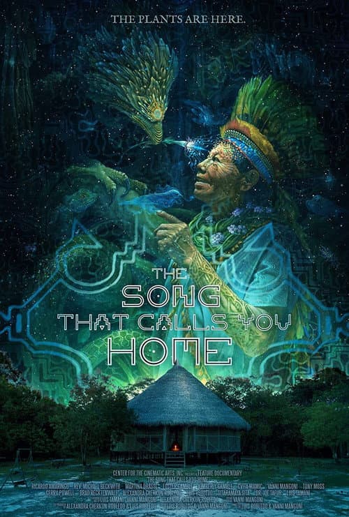 The Song That Calls You Home afişi