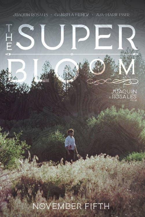 The Superbloom afişi