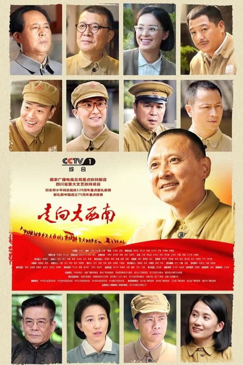 走向大西南 afişi