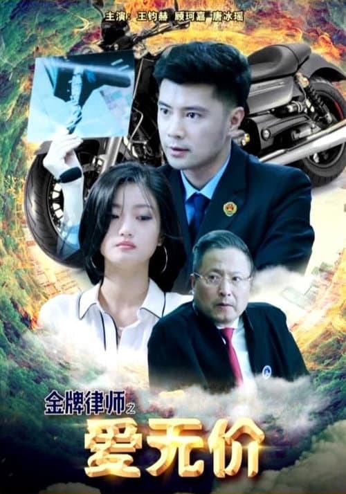 金牌律师之爱无价 afişi
