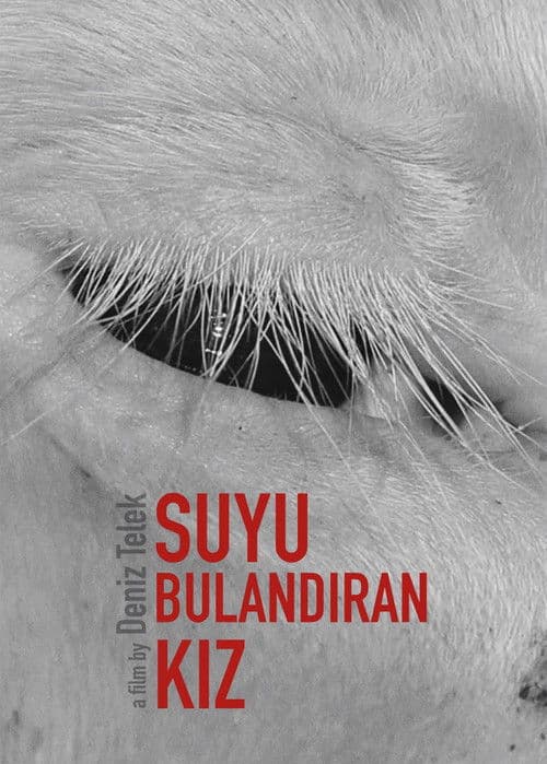 Suyu Bulandıran Kız afişi