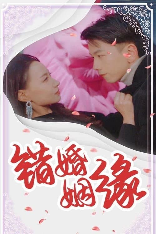 错婚姻缘 afişi