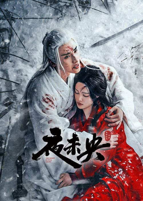 夜未央 afişi