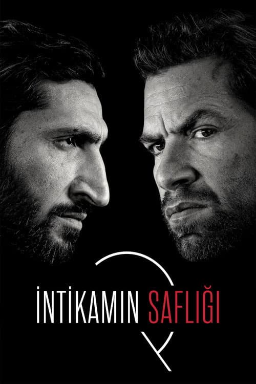 İntikamın Saflığı afişi
