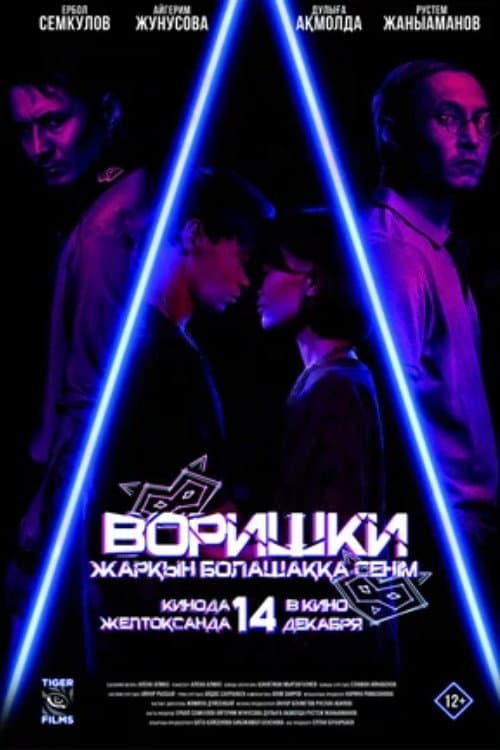 Воришки afişi
