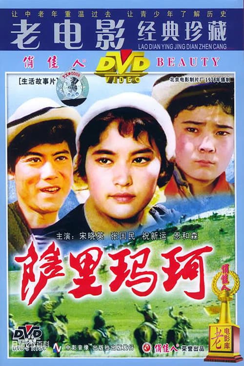 萨里玛珂 afişi