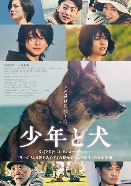 少年と犬 afişi