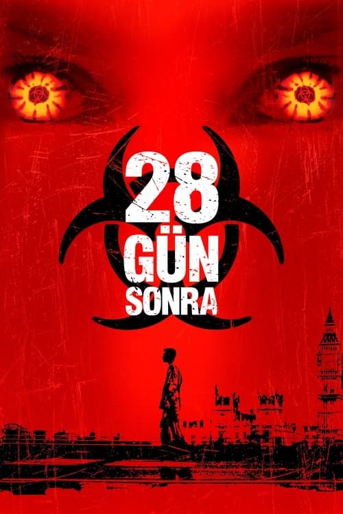28 Gün Sonra afişi
