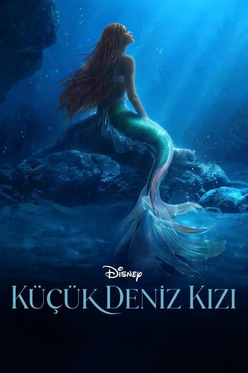 Küçük Deniz Kızı afişi