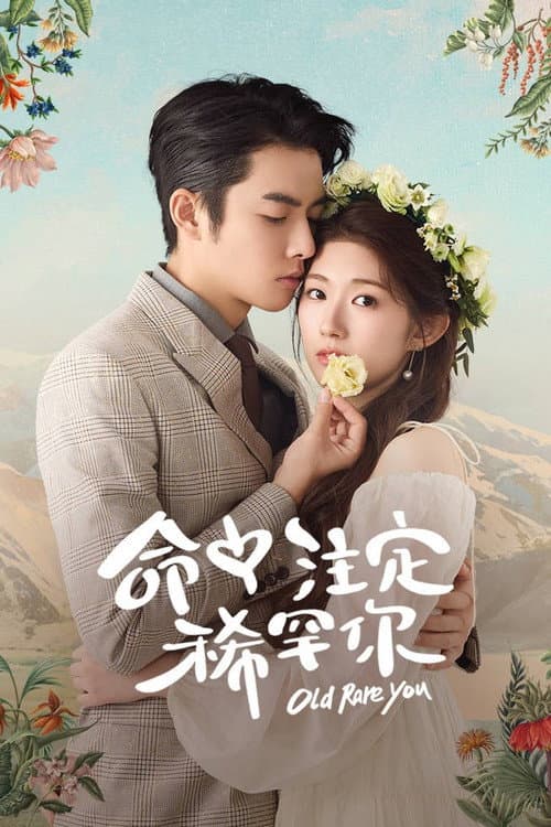 命中注定稀罕你 afişi